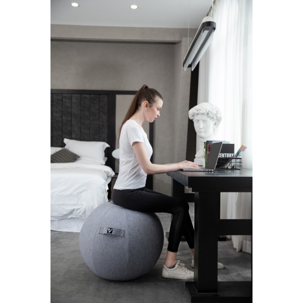 Sitting Ball Chair for Office and Home, Pilates Exercise Yoga Ball with Cover for Balance, Stability and Fitness, Ergonomic Posture Exercise Ball Seat with Handle and Pump, Snow